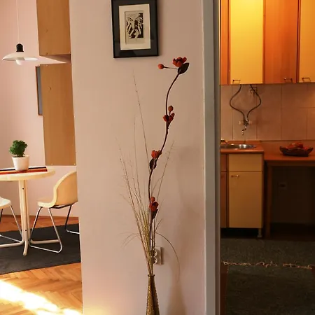 Supercozy סקופיה